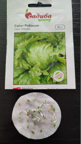 Салат Робінсон Айсберг 30 нас.90% схожість СЦ 01.2024р