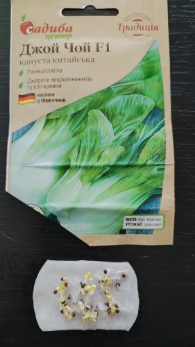 Капуста пекінська Джой Чой F1 0,5г. 100% схожість СЦ Традиція 12.2025р
