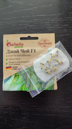 Капуста пекінська Джой Чой F1 0,5г. 100% схожість СЦ Традиція 12.2025р