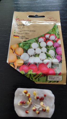 Редиска Асорті 3г. 12.2023р схожість 87% СЦ Традиція