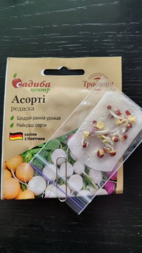Редиска Асорті 3г. 12.2023р схожість 87% СЦ Традиція