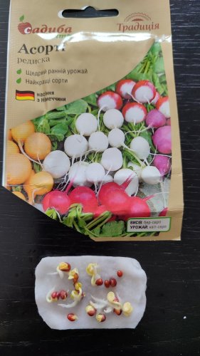 Редиска Асорті 3г. 12.2023р схожість 87% СЦ Традиція