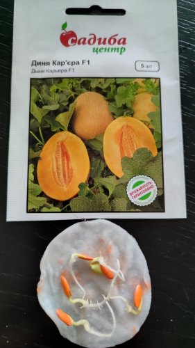 Диня Кар'єра F1 5 нас.100% схожість СЦ 07.2024р