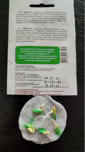 Диня Мілан F1 5 нас.100% схожість СЦ 07.2024р