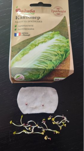 Капуста пекінська Кантонер 0,5г СЦ Традиція 02.2026р