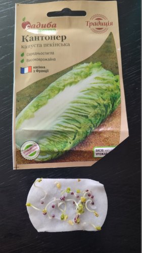 Капуста пекінська Кантонер 0,5г СЦ Традиція 02.2026р