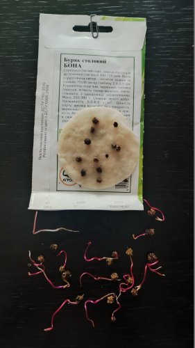 Буряк Бона 3г. 68% схожість Агрона 12.2025р