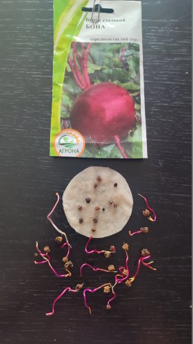 Буряк Бона 3г. 68% схожість Агрона 12.2025р