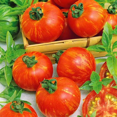 Томат Амурський тигр 0,1г  2023р Агрона