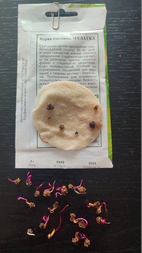 Буряк Мулатка 3г. 82% схожість Агрона 12.2025р