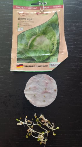 ПРОФ Капуста Прем'єра 10г 87% схожість СЦ Традиція  06.2024р