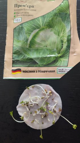 ПРОФ Капуста Прем'єра 10г 87% схожість СЦ Традиція  06.2024р