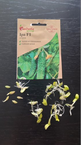 Огірок Іра F1 20 шт СЦ Традиція 02.2026р