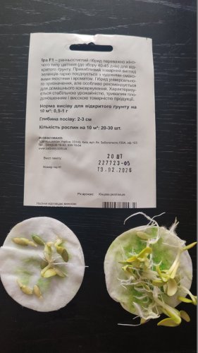 Огірок Іра F1 20 шт СЦ Традиція 02.2026р