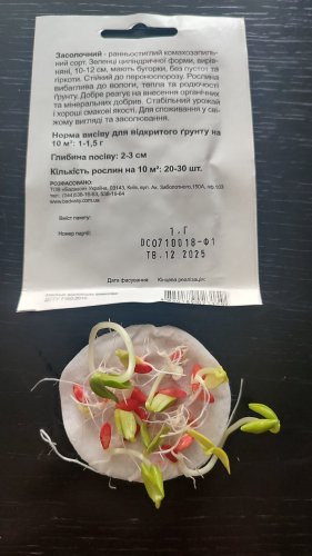 Огірок Засолочний 1г. СЦ Традиція 12.2025р