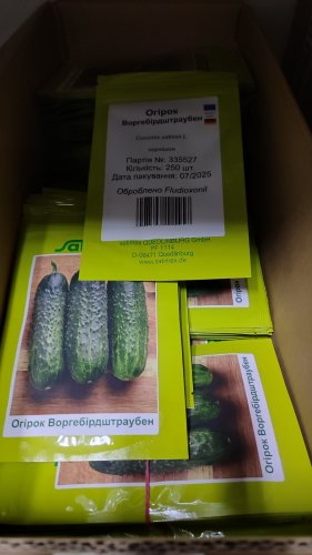 Огірок Воргебірдштраубен F1 250 нас Satimex 