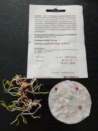 Перець Богдан 0,3г СЦ Традиція 02.2026р