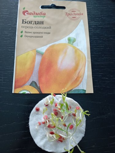 Перець Богдан 0,3г СЦ Традиція 02.2026р