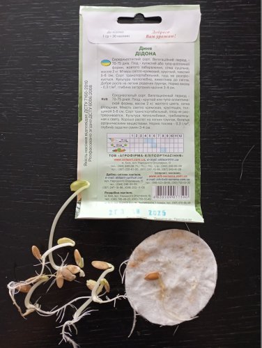 Диня Дідона 2г 12.2025р