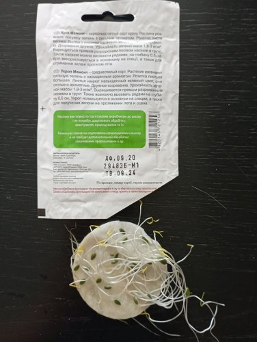 Кріп Мамонт 2г. 09.2024р 85% схожість СЦ