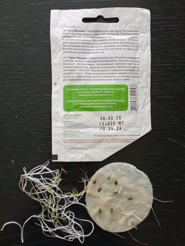 Кріп Мамонт 2г. 09.2024р 85% схожість СЦ