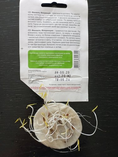Фенхель Флоренція 0,5г 92% схожість СЦ 06.2024р 