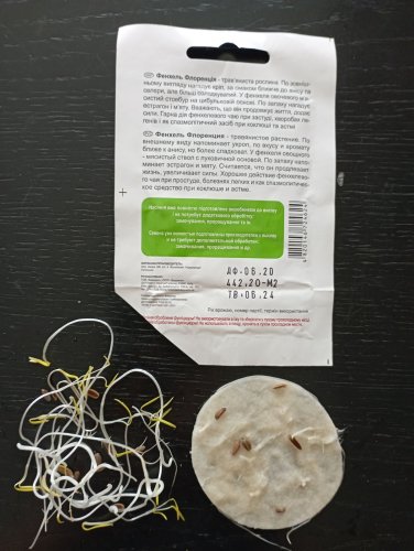 Фенхель Флоренція 0,5г 92% схожість СЦ 06.2024р 