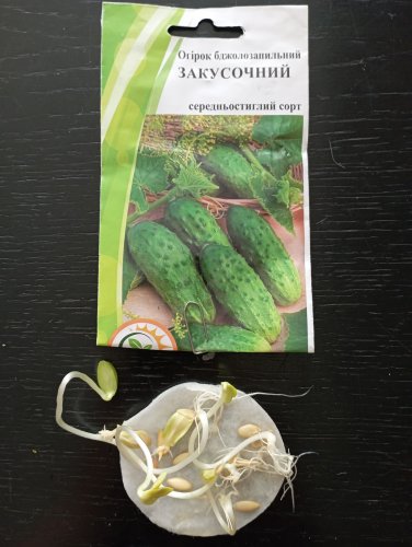 Огірок Закусочний 1г 73% схожість Агрона 12.2023р 