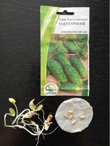 Огірок Закусочний 1г 73% схожість Агрона 12.2023р 