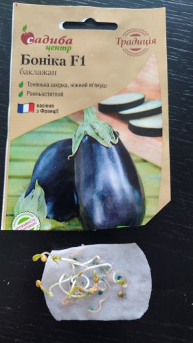 Баклажан Боніка F1 10 шт 90% схожість СЦ Традиція 12.2025р