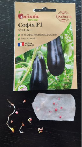 Баклажан Софія F1 10 шт. 70% схожість СЦ Традиція 03.2026р