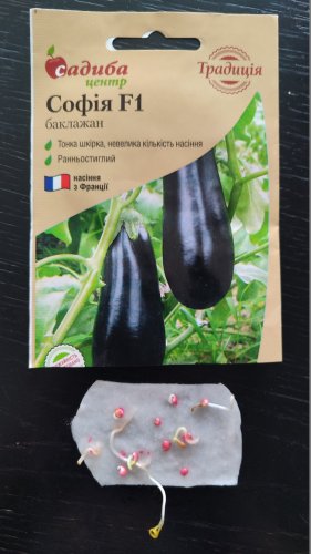 Баклажан Софія F1 10 шт. 70% схожість СЦ Традиція 03.2026р
