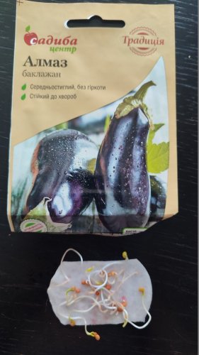 Баклажан Алмаз 0,5г 84% схожість СЦ Традиція 03.2026р