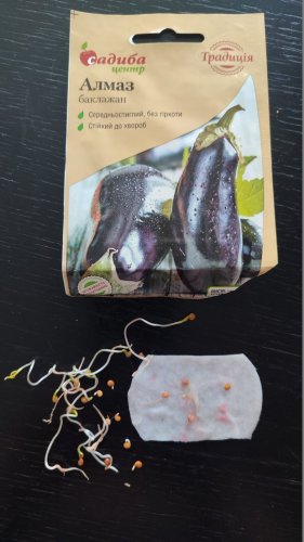 Баклажан Алмаз 0,5г 84% схожість СЦ Традиція 03.2026р