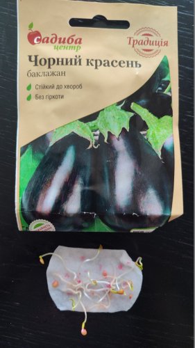 Баклажан Чорний Красень 0,3г 80% схожість СЦ Традиція 02.2026р