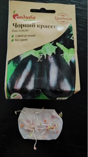Баклажан Чорний Красень 0,3г 80% схожість СЦ Традиція 02.2026р