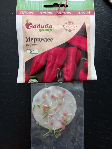 ПРОФ Перець Мерцедес 5г СЦ Традиція 03.2026р