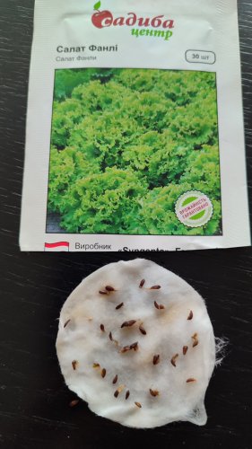 Салат Фанлі 30 нас 70% схожість СЦ 01.2024р