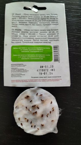 Салат Фанлі 30 нас 70% схожість СЦ 01.2024р