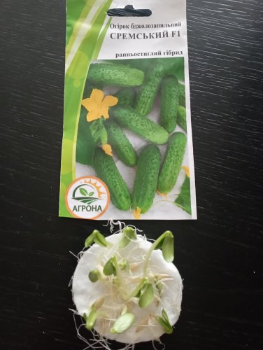 Огірок Сремський F1 0,5г. 95% схожість Агрона 12.2023р
