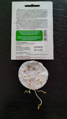 Баклажан Анатолія F1 10 нас. 70% схожість СЦ 12.2025р