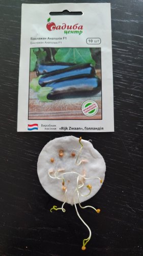 Баклажан Анатолія F1 10 нас. 70% схожість СЦ 12.2025р