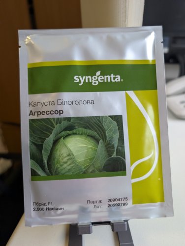 Капуста білоголова Агресор F1 2500 шт. насіння не протруєне!  Syngenta