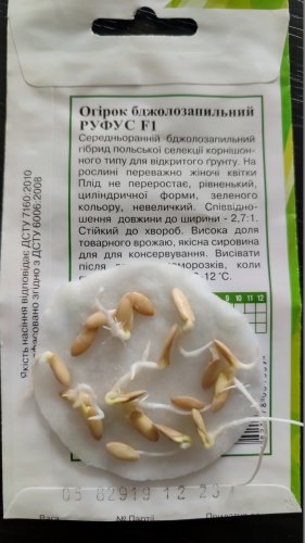 Огірок Руфус F1 0,5г 100% схожість Агрона 12.2023р