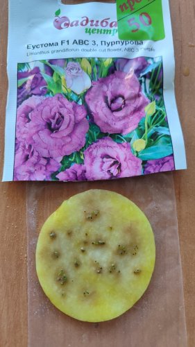 ПРОФ Еустома АВС 3 F1 пурпурова махрова 50 гран. 95% схожість СЦ 12.2025р
