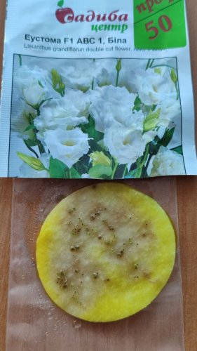 ПРОФ Еустома АВС 3 F1 біла махрова 50 гран. 85% схожість СЦ