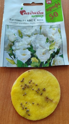 ПРОФ Еустома АВС 3 F1 біла махрова 50 гран. 85% схожість СЦ