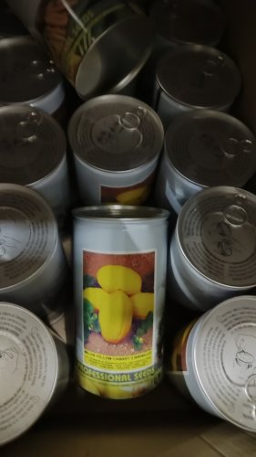 Диня Ругосо ді Косенца 0,5кг (Hortus)